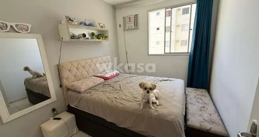 Apartamento com 2 quartos à venda no São Patrício, Serra 