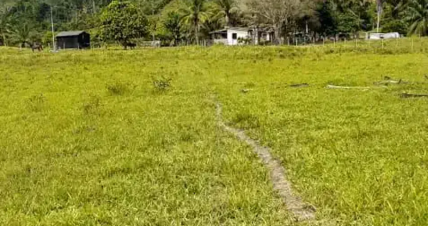 Fazenda com 1 sala à venda na Rodovia BR-101, 890, Centro, Eunápolis