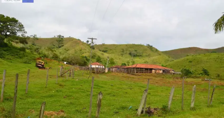 Chácara / sítio à venda no Centro, Silveiras 