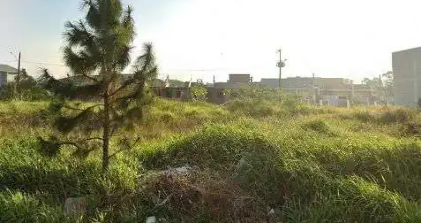 Terreno comercial para alugar na Rua Kiliano Hames, sn, Potecas, São José