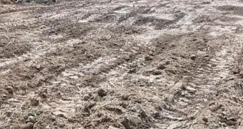 Terreno à venda em Maranduba, Ubatuba