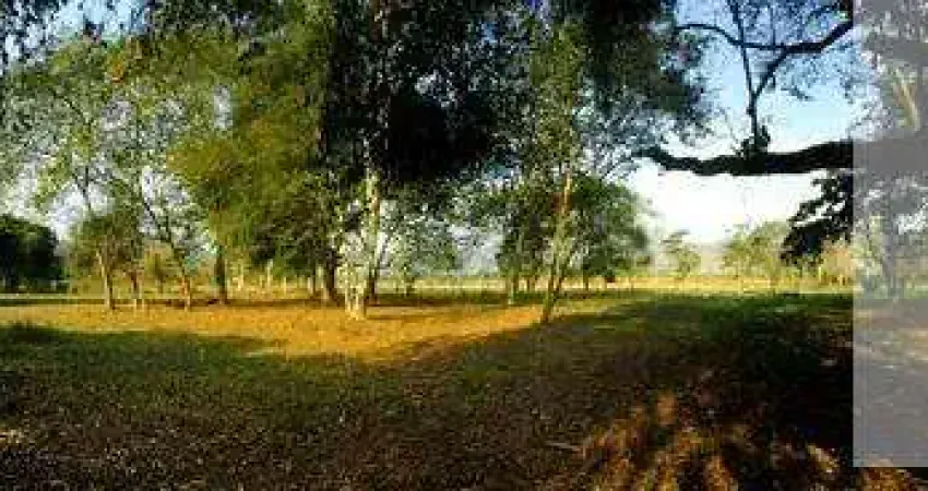 Ocean Vende: Cassorotiba, Terreno, plano, cercado, 24.490m²