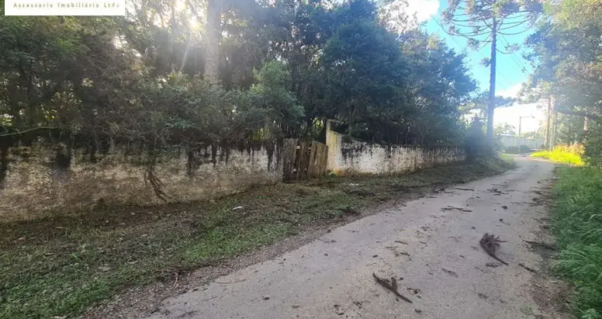 Chacara a 10km do centro, s.jose/20 curitiba/morar/lazer perto de tudo r$ 550mil
