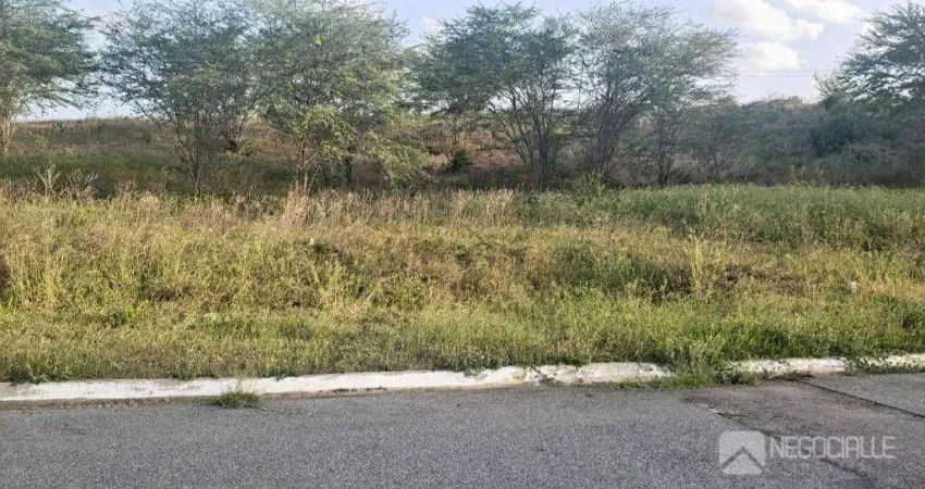 Terreno à venda, 360 m² por R$ 130.000,00 - Santa Terezinha - Campina Grande/PB