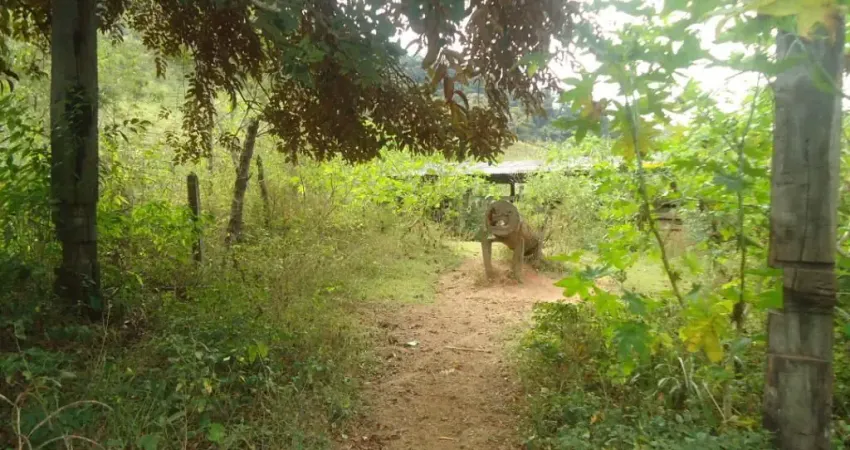 Fazenda à venda na Rua José Moreira Pontes, Zona Rural, Marliéria