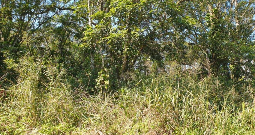 Terreno à venda, 614 m² por R$290.000,00 - Santa Terezinha - Itapoá/SC