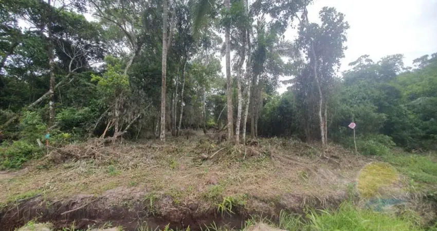 Terreno à venda, 180 m² por R$67.000,00 - Balneário Do Parque Itapoá Sc.