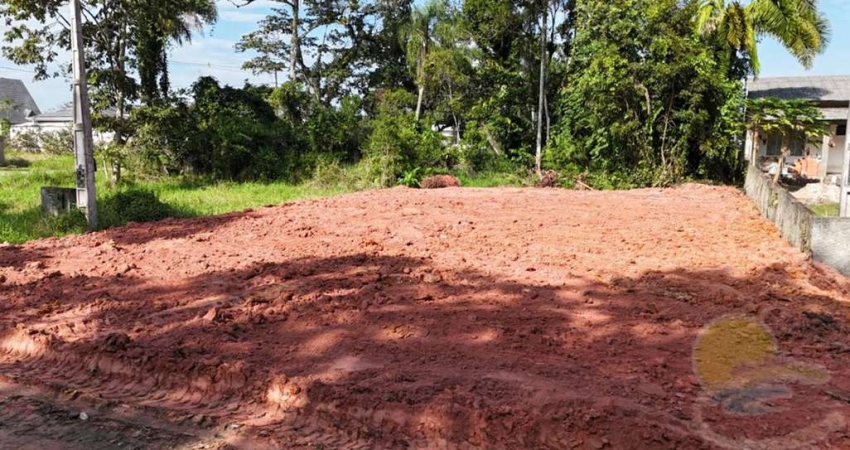 Terreno à venda, 232 m² por R$140.000,00 - Balneário Princesa Do Mar - Itapoá Sc