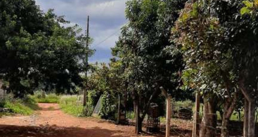Terreno à venda de 10.000m² bem localizado em Goiânia