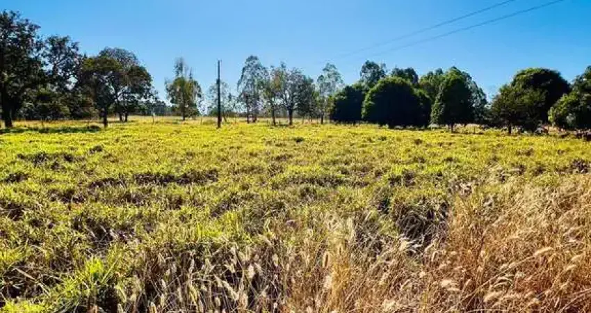 Chácara / sítio com 3 quartos à venda na RUA, Zona Rural, Bela Vista de Goiás