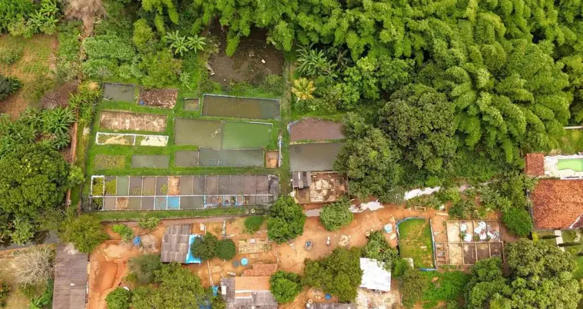 Chácara / sítio com 2 quartos à venda na Rua, 12, Jardim das Rosas, Goiânia
