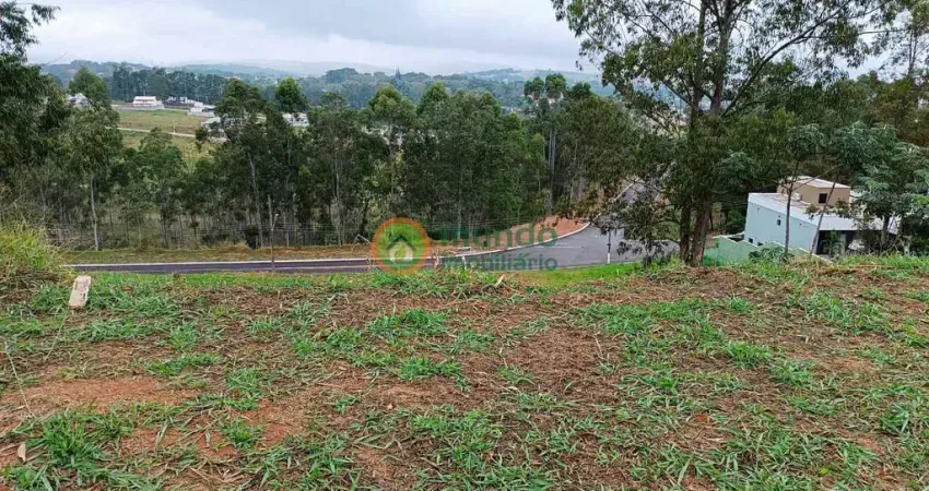 Terreno em condomínio fechado à venda na Rua Doutor José Venceslau Júnior, 2022, Morada dos Nobres, Taubaté