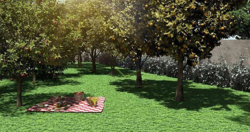Terreno à venda, 176 m² por R$ 270.000,00 - Vila Moraes - Mogi das Cruzes/SP