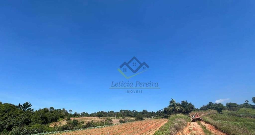 Área à venda, 131048 m² por R$ 27.800.000,00 - Fazenda Aya - Suzano/SP