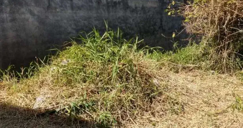 Terreno comercial para alugar em Cangaíba, São Paulo 