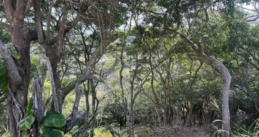 Terreno à venda no Alto de Búzios, Armação dos Búzios 