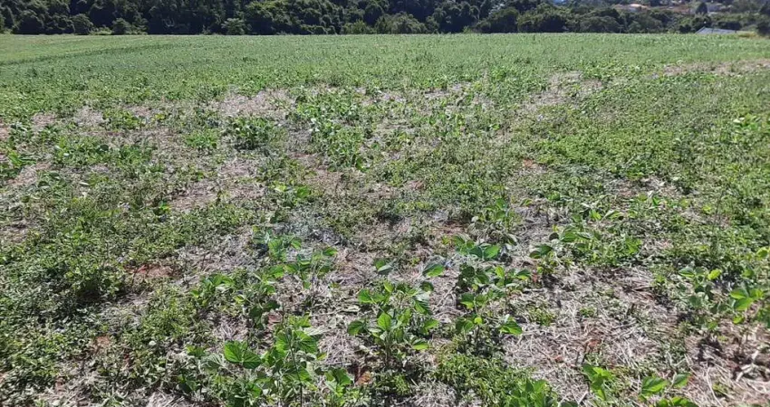 Terreno comercial à venda na Rodovia Alkindar Monteiro Junqueira, Sítio da Moenda, Itatiba