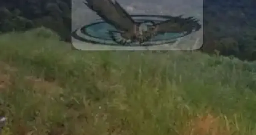 Terreno à venda no Engenho Seco, Louveira