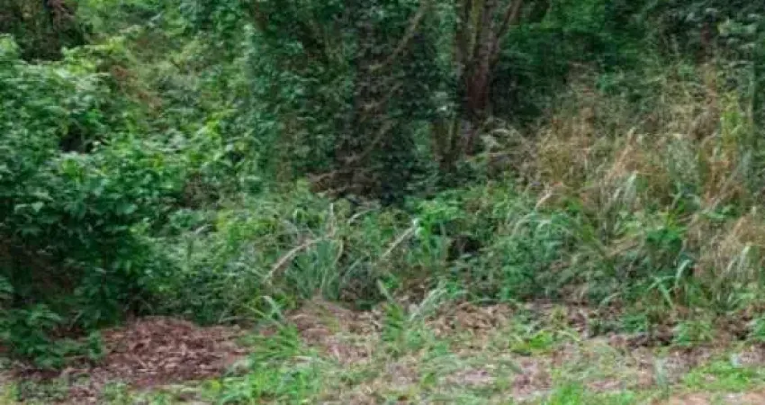 Terreno à venda na Rua Bruxelas, --, Altos do Morumbi, Vinhedo