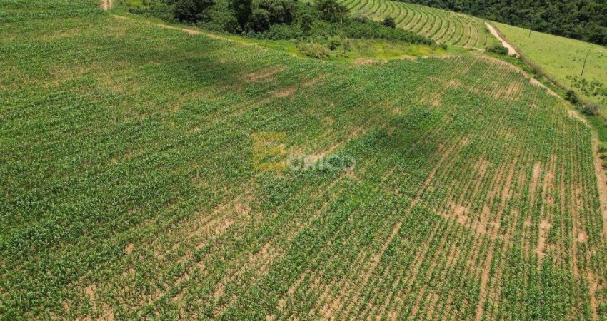 Chácara / sítio à venda na Rodovia BR 146, --, Zona Rural, Botelhos