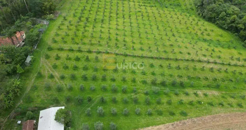 Fazenda à venda no Área Rural de Poços de Caldas em Poços de Caldas/MG