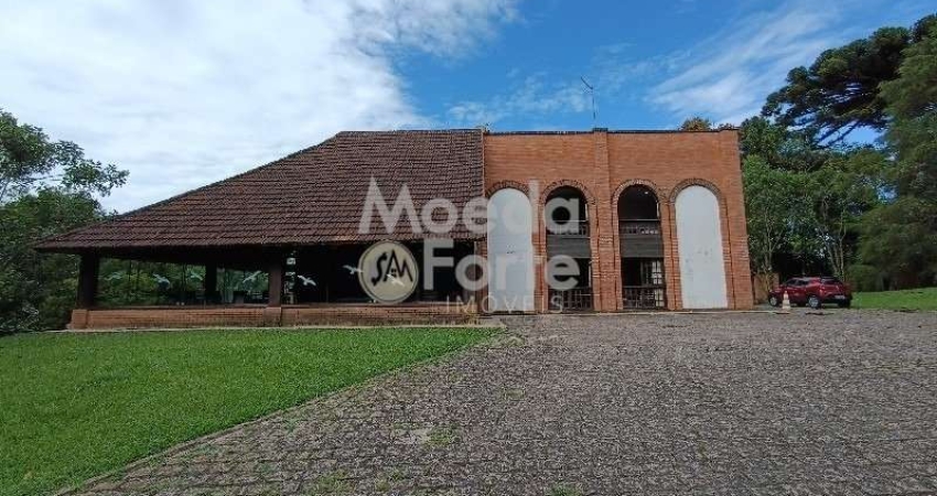 Casa com 6 quartos para alugar na Antonio Vale, 73, Samambaia, Campo Magro