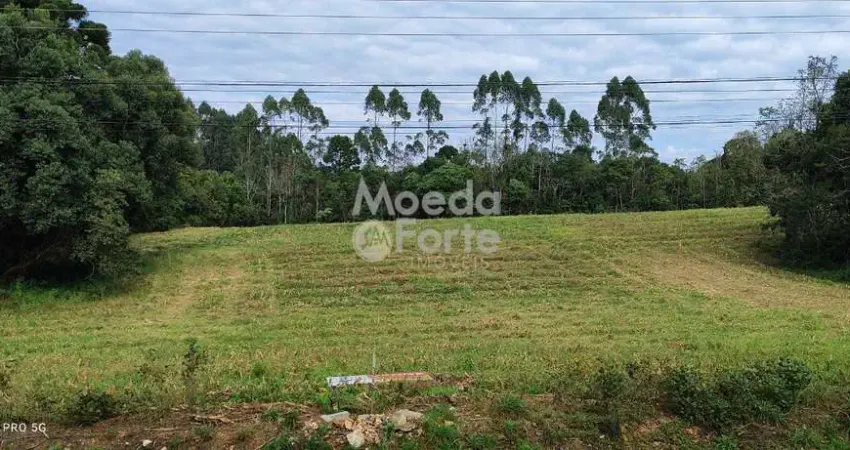 Terreno à venda na Rua Santa Mariana, Vila Delurdes, Campo Largo