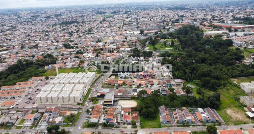 Área Xaxim - 6.000m2