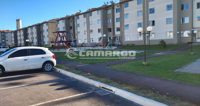 Apartamento Andar Alto Sítio Cercado ( desocupado) - 191mil ( Aceita carro até 70mil)