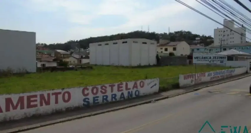 Terreno comercial para alugar na Benjamim Gerlach, Fazenda Santo Antônio, São José