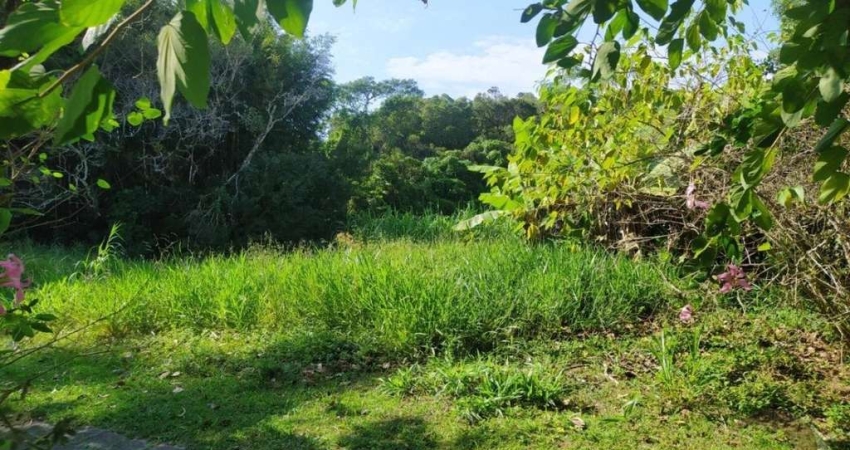 Terreno para Venda em Florianópolis, Rio Tavares