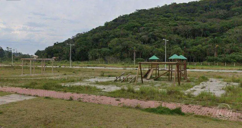 Terreno à venda na Rodovia Doutor Antônio Luiz Moura Gonzaga, Rio Tavares, Florianópolis