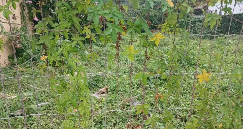 Terreno à venda na Rua Léa Castro Ramos, 1, Praia Brava, Florianópolis