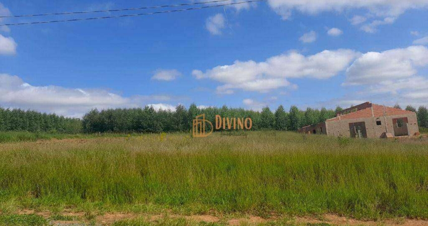Terreno à venda, 1300 m² por R$ 135.000 - Barreiro - Araçoiaba da Serra/SP