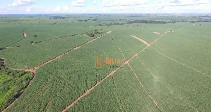 Fazenda à venda, 263 Alqueires por R$ 51.000.000 - Zona Rural - Mirandópolis/SP