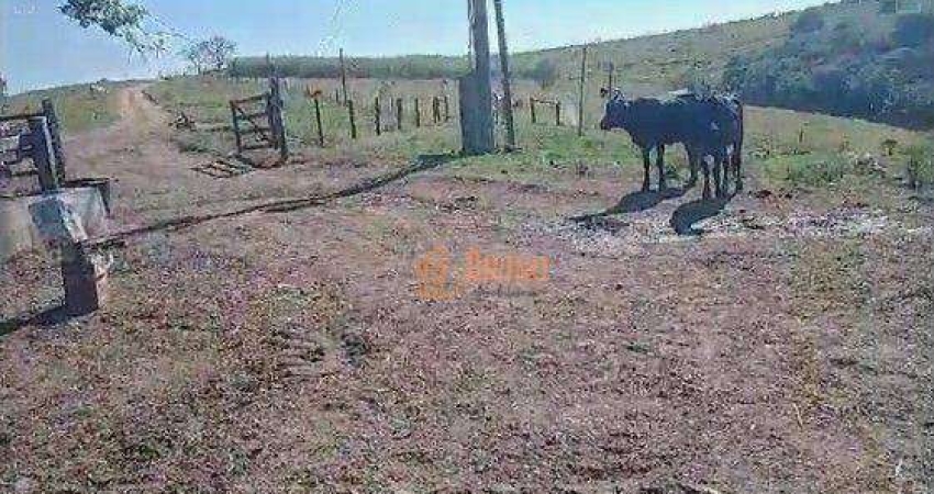 Fazenda à venda, 67 Alqueires por R$ 16.000.000 - Área Rural - Itapetininga/SP