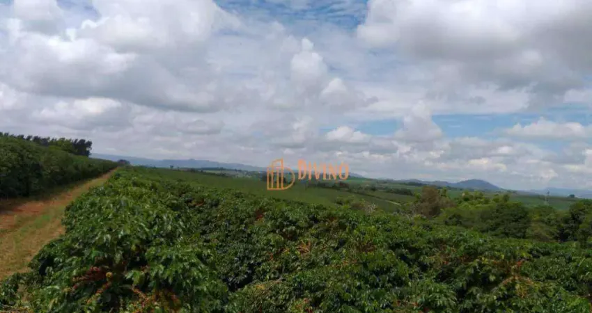 Fazenda com 5 dormitórios à venda, 1452000 m² por R$ 30.000.000,00 - Zona Rural - Piumhi/MG