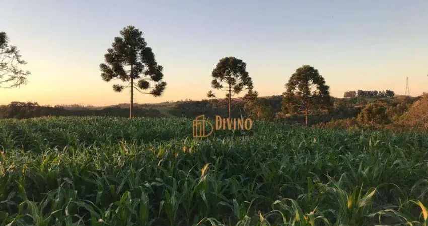 Sítio à venda, 11 Alqueires por R$ 1.650.000 - Das Congonhas - Sarapuí/SP