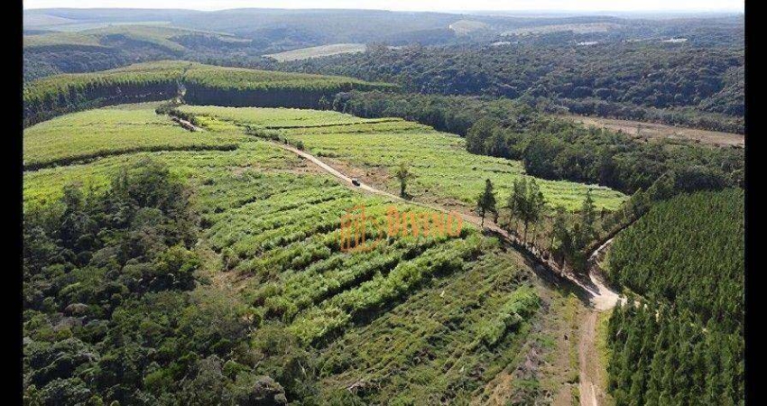 Sítio à venda, (Aceita 50% Permuta)  19 Alqueires por R$ 2.500.000 - São Miguel Arcanjo/SP