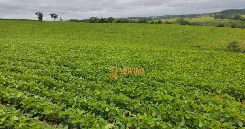 Chácara / sítio à venda na Rodovia Nestor Fogaça, Zona Rural, Pilar do Sul