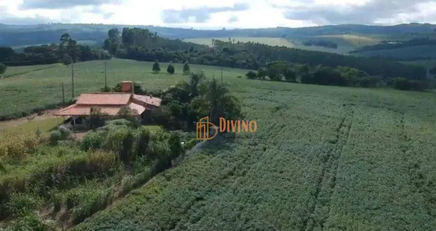Sítio em Itaberá à Venda - Zona Rural