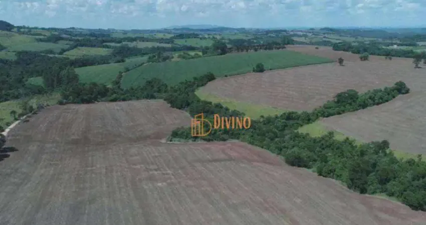 Fazenda à venda na Estrada Vicinal Maestro Benedito Pompeu de Jesus, 3, Área Rural de Itapetininga, Itapetininga