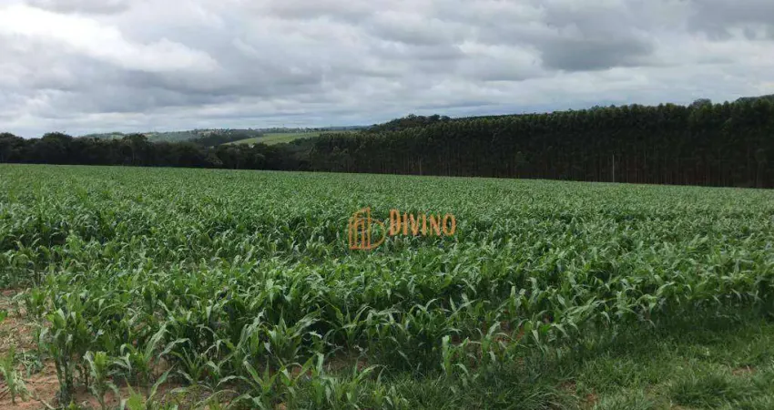 Sítio à Venda Próximo a Sarapui, SP