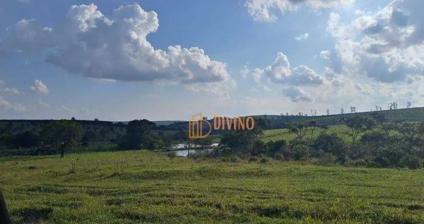 FAZENDA BRASÍLIA À VENDA – BOFETE, SP