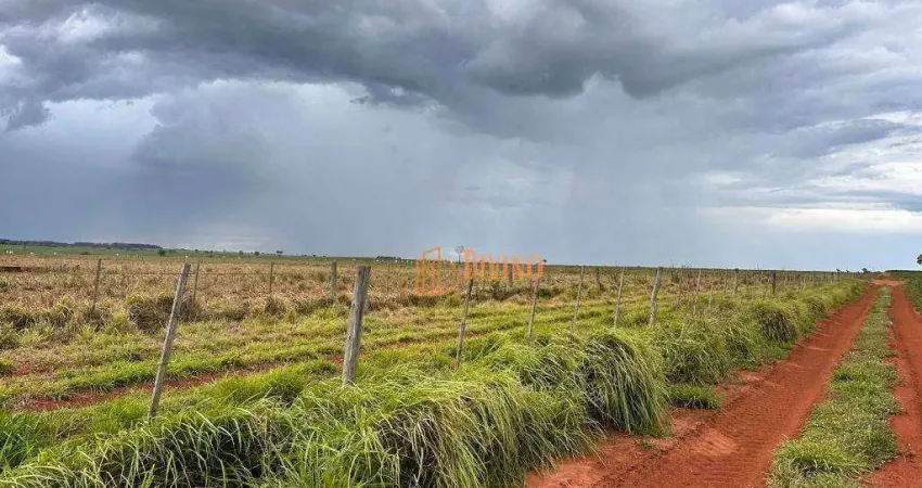 Fazenda à venda na Rua Assad Sallum, 1, Zona Rural, Paraguaçu Paulista