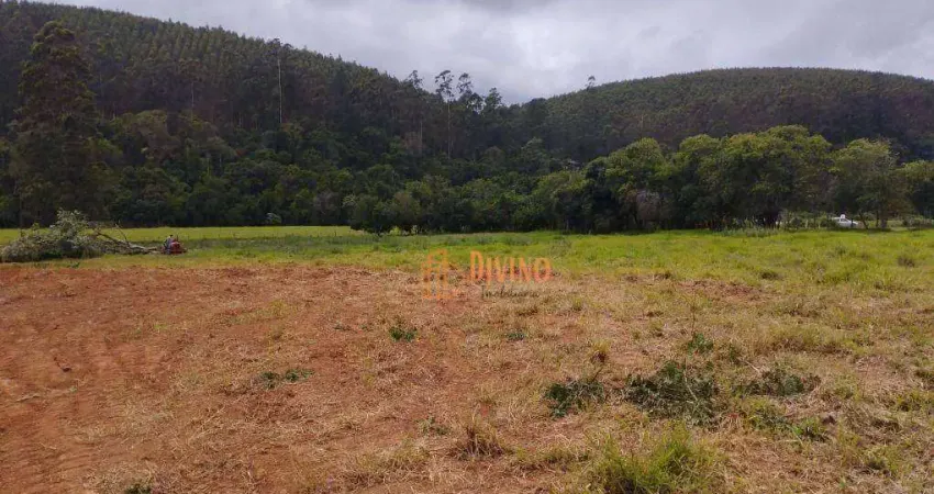 Chácara / sítio à venda na Rodovia Nestor Fogaça, 6, Ribeirão, Pilar do Sul