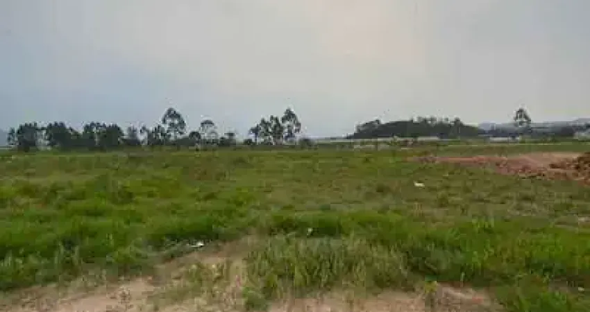 Terreno à venda, 301 m² por r$ 230.000,00 - loteamento flora e flora - tijucas/sc