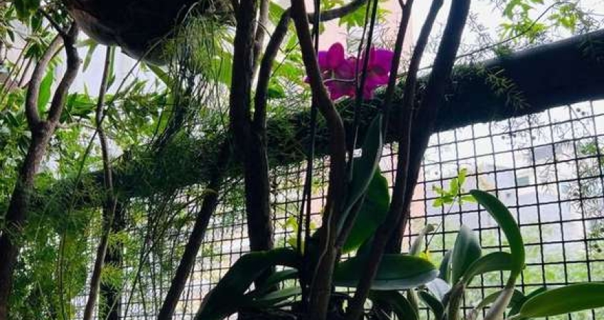 Apartamento com 2 quartos à venda na Rua Bueno Brandão, 366, Moema, São Paulo
