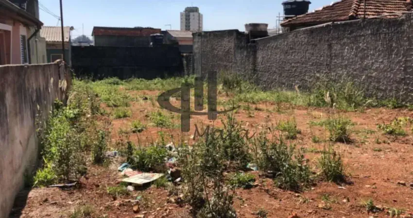 Terreno comercial para alugar na NELLY PELLEGRINO, R, Nova Gerti, São Caetano do Sul
