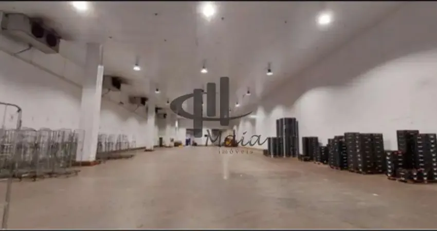 Barracão / Galpão / Depósito para alugar na Avenida Papa João XXIII, Sertãozinho, Mauá